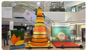 Brand activations and promotional events in teal and navy colors